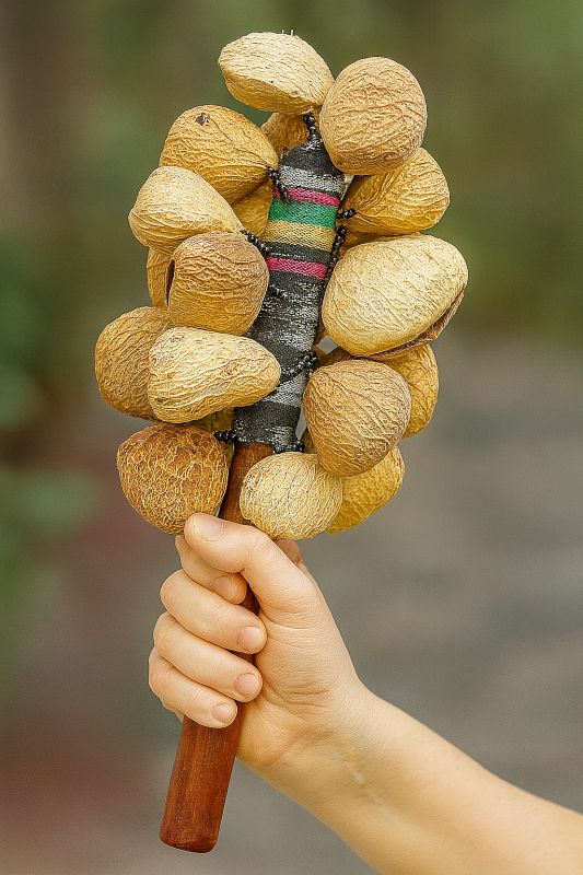 שייקר מקליפות פרי קפאינג - כלי נגינה אתניים M2005