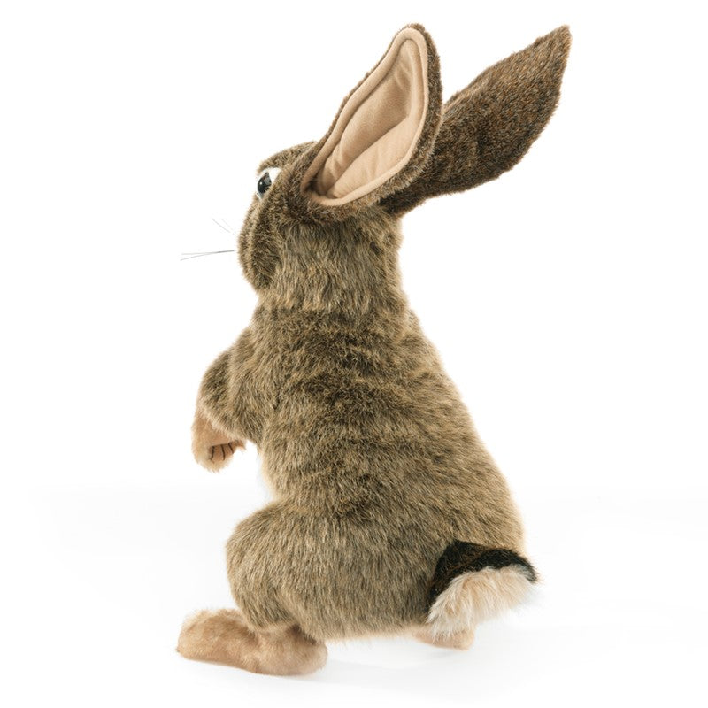 בובת ארנב השדה Jack Rabbit Folkmanis 3200