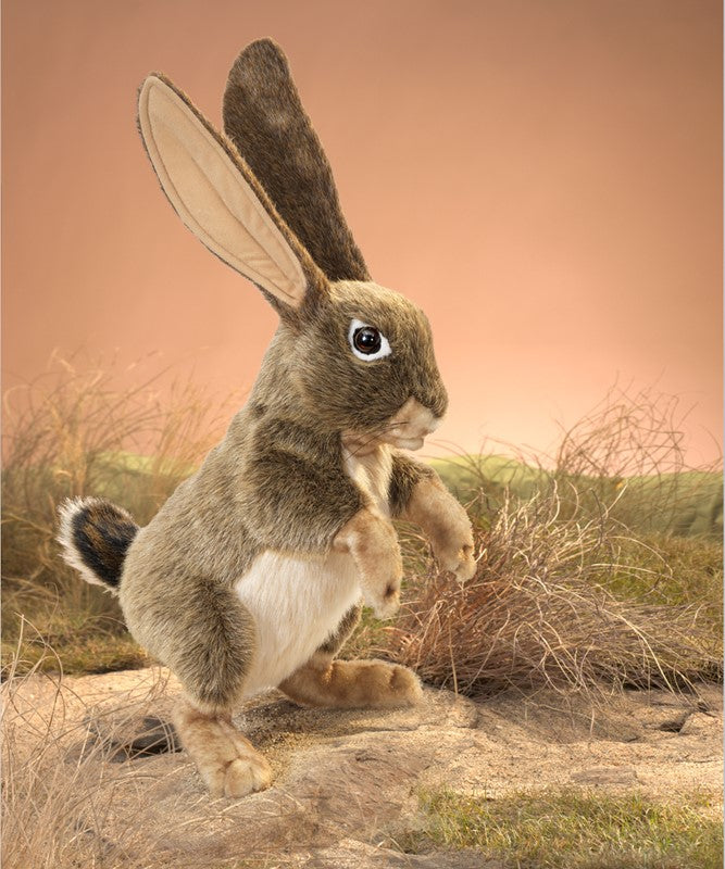 בובת ארנב השדה Jack Rabbit Folkmanis 3200