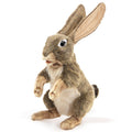 בובת ארנב השדה Jack Rabbit Folkmanis 3200